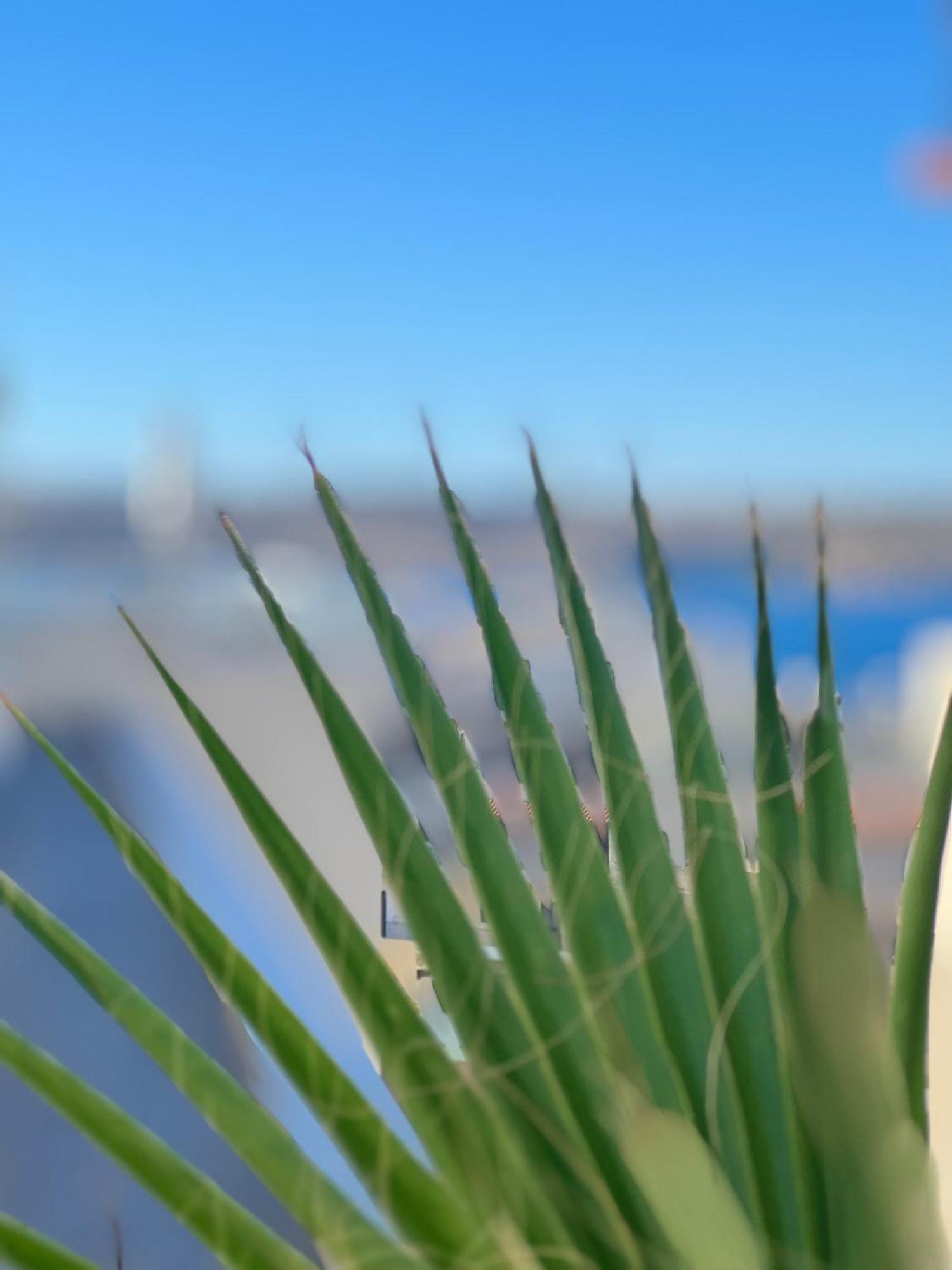 Modern & Spacious 2Br Penthouse With Terrace - Close To Qawra Beach Bahía de San Pablo Exterior foto